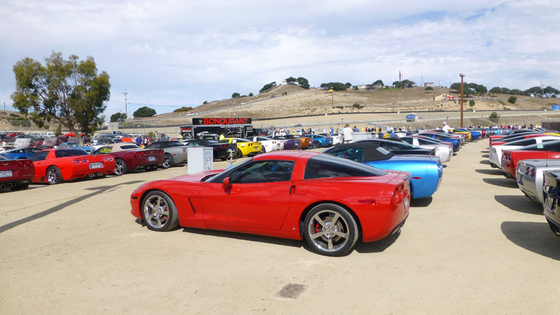 Corvette Generations/C6/C6 Mostly C5 & C6 Corvettes.jpg